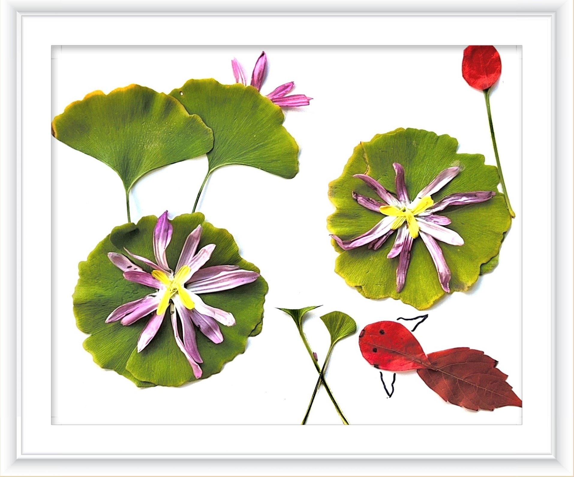 《一路清莲》作者：张颖蕊_副本.jpg